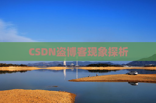 CSDN盗博客现象探析